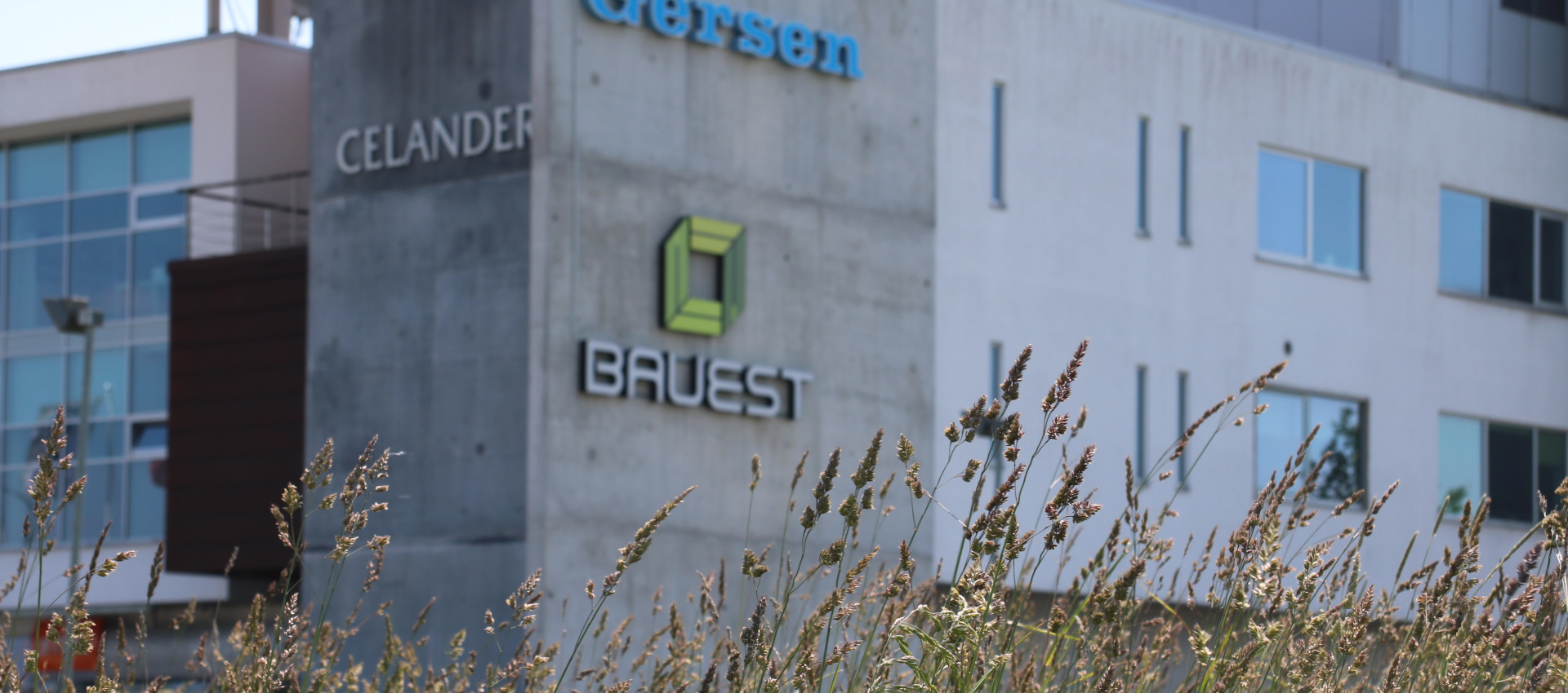 BauEst ehitus